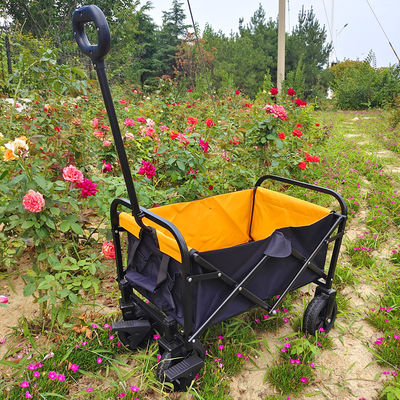 Il PVC pieghevole del carrello della mano dei bagagli spinge la piegatura all'aperto Mini Camping Cart
