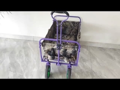 Carretto pieghevole del vagone